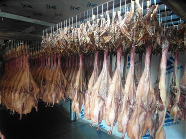 上海闆鴨肉制品烘房
